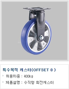 특수목적 캐스…